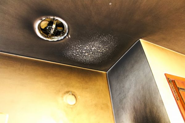 Cost of Smoke Damage Remediation in North Port